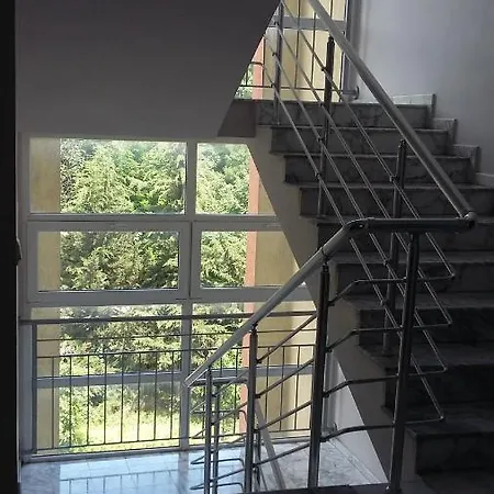 Apartament Blue Rose Comfort *